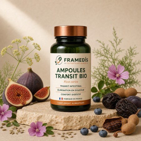 Ampoules Transit BIO 20 ampoules — Cure intensive transit | Framedis