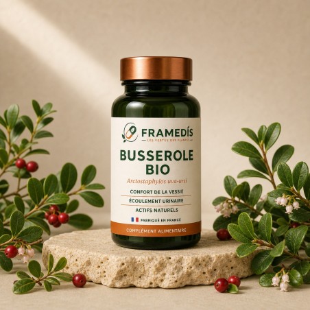 Busserole BIO 100 gélules — Confort urinaire et vessie | Framedis