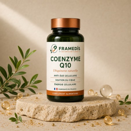 Coenzyme Q10 60 gélules — Anti-âge cellulaire, cœur, énergie | Framedis