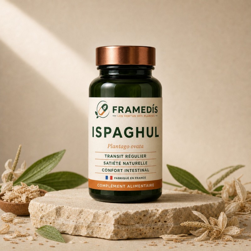 Ispaghul 200 gélules | Framedis