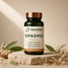 Ispaghul 200 gélules | Framedis