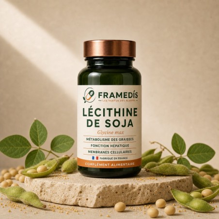 Lécithine de Soja en capsules — Cœur & cholestérol | Framedis