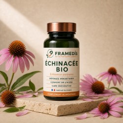 Échinacée BIO en gélules — Défenses naturelles | Framedis