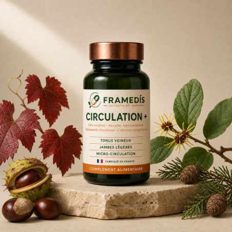 Circulation + 120 gélules — Vigne rouge, marron d'Inde, hamamélis, cyprès | Framedis