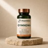 Gymnema 200 gélules — Minceur & Détox | Framedis