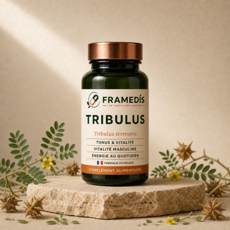 Tribulus 200 gélules — Tonus & Vitalité | Framedis