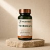 Tribulus 200 gélules — Tonus & Vitalité | Framedis