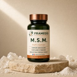 M.S.M. 200 gélules — Soufre organique, articulations | Framedis