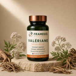 Valériane 200 gélules - Détente & sommeil | Framedis