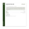 Chrysantellum Americanum en gélules — Foie & micro-circulation | Framedis