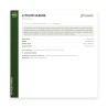 Lithothamne 200 gélules — Reminéralisant osseux marin | Framedis
