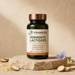 Ferments Lactiques 120 gélules — Flore intestinale & digestion | Framedis