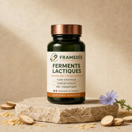 Ferments Lactiques 120 gélules — Flore intestinale & digestion | Framedis