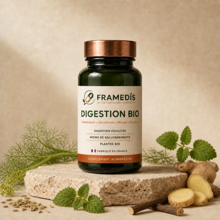 Digestion BIO 120 gélules — Confort digestif & transit | Framedis