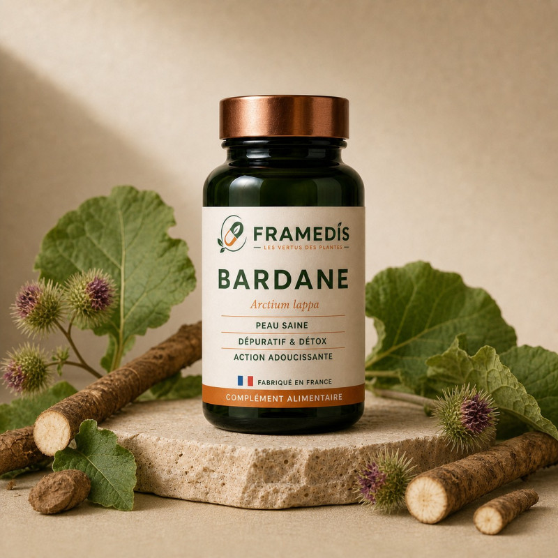 Bardane en gélules — Détox & peau saine | Framedis