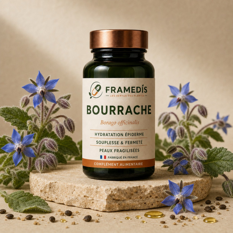 Bourrache 100 capsules 500 mg - Soin de la peau | Framedis