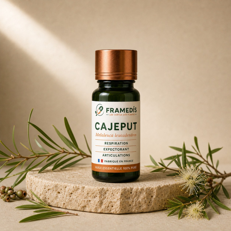 Huile Essentielle Cajeput 10 ml - Voies respiratoires | Framedis