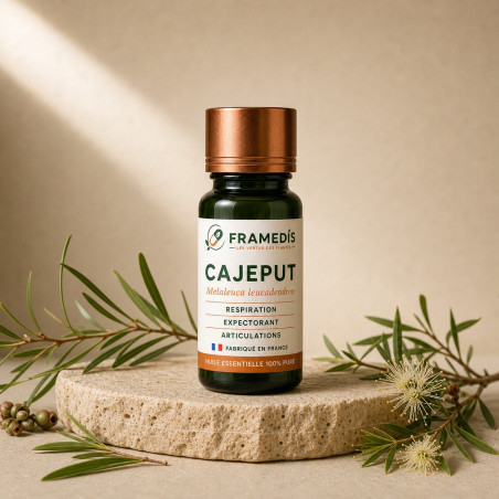 Huile Essentielle Cajeput 10 ml - Voies respiratoires | Framedis