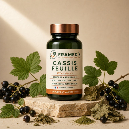Cassis feuille en gélules — Articulations & drainage | Framedis