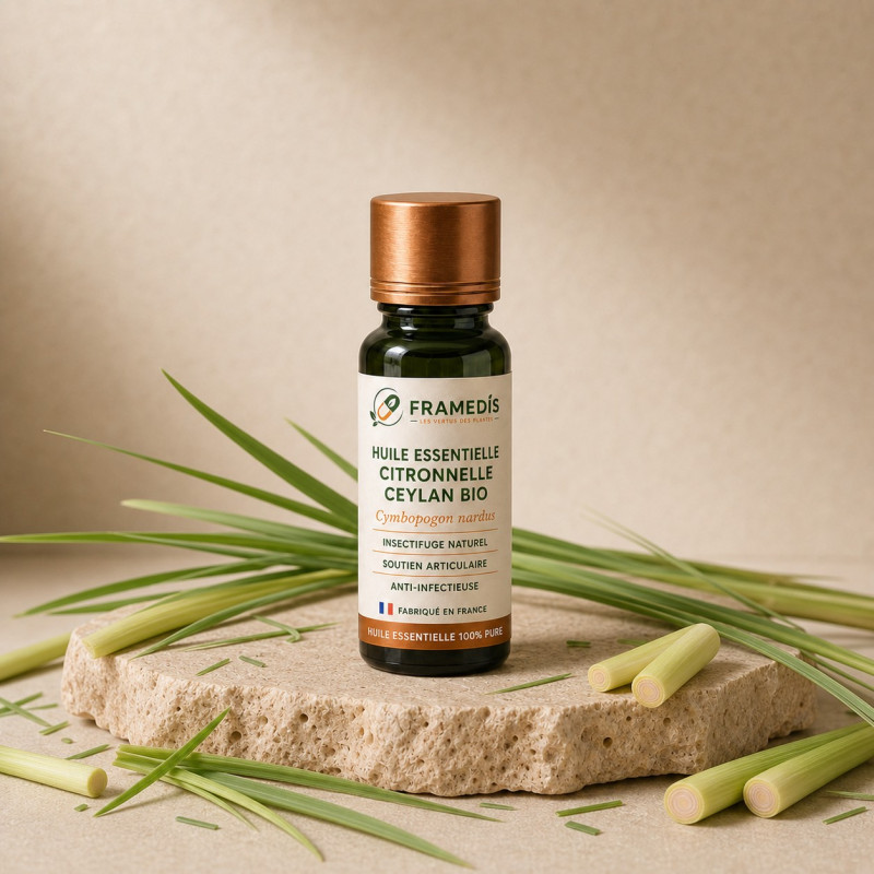 Huile Essentielle Citronnelle Ceylan BIO 10 ml | Framedis