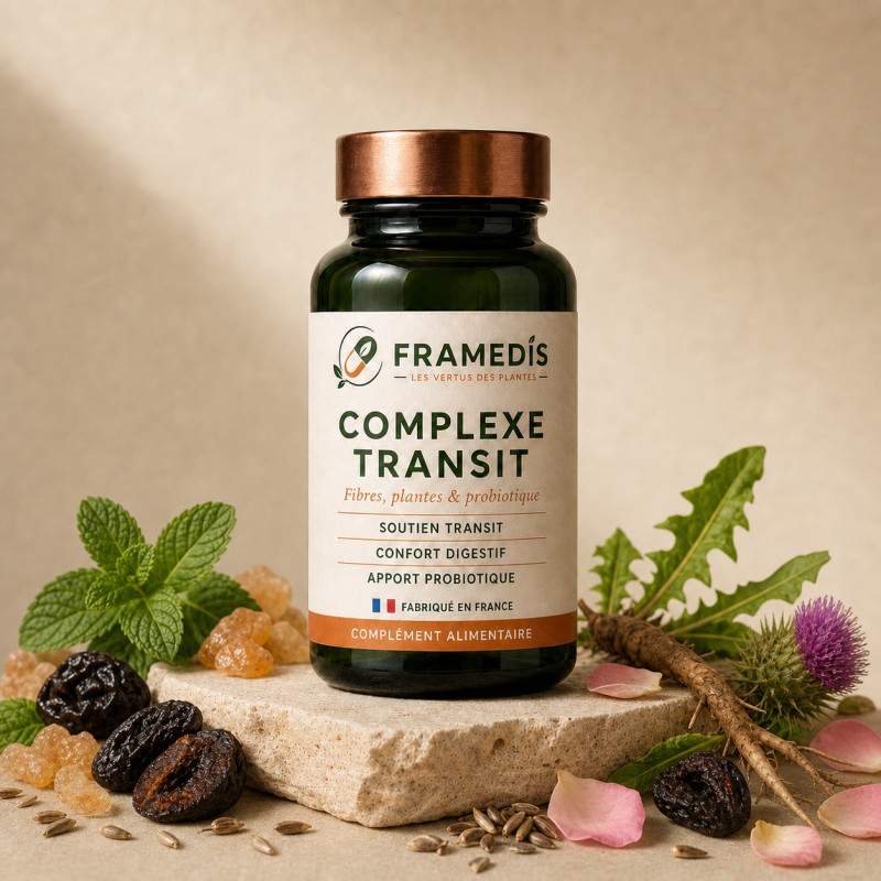Complexe Transit 200 gélules - Confort intestinal | Framedis
