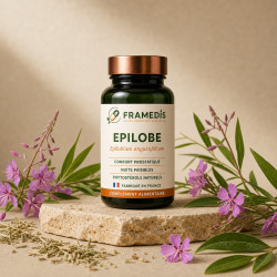 Epilobe en gélules — Confort urinaire & prostatique | Framedis