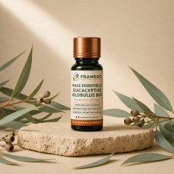Huile Essentielle Eucalyptus Globulus BIO 10 ml | Framedis