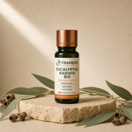 Huile Essentielle Eucalyptus Radiata BIO 10 ml | Framedis