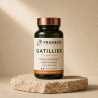 Gatillier (Vitex) en gélules — SPM & cycle féminin | Framedis