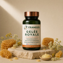 Gelée Royale 100 gélules - Vitamines B & minéraux | Framedis