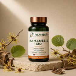 Hamamélis BIO en gélules — Tonus veineux & jambes | Framedis