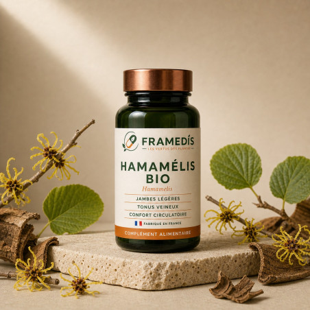Hamamélis BIO en gélules — Tonus veineux & jambes | Framedis