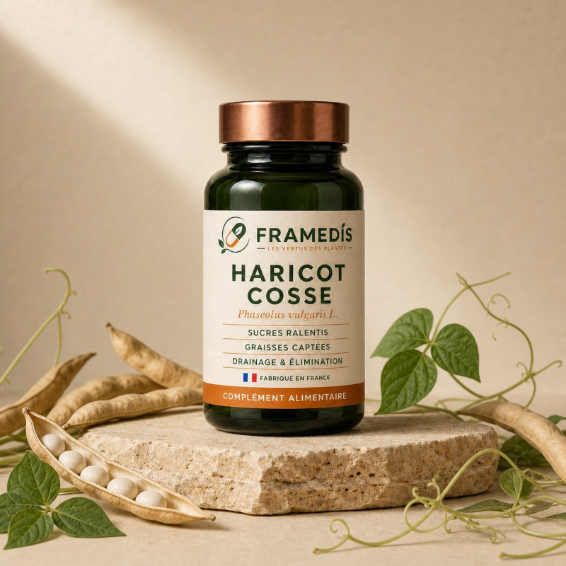 Haricot cosse 200 gélules - Sucres & graisses | Framedis
