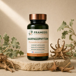 Harpagophytum