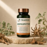 Harpagophytum en gélules — Souplesse articulaire | Framedis