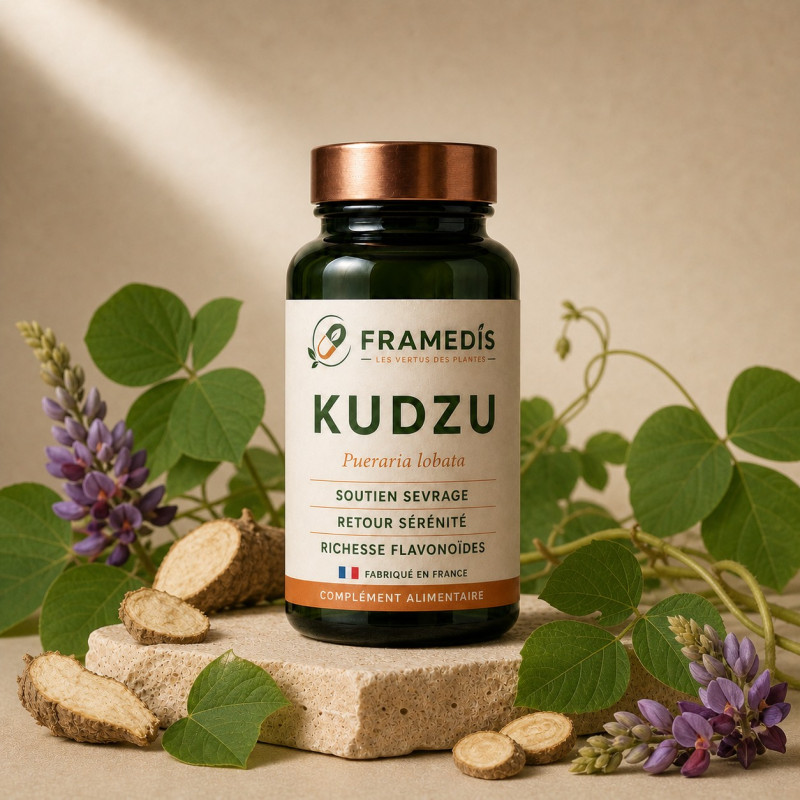 Kudzu 200 gélules - Sevrage tabac & alcool | Framedis