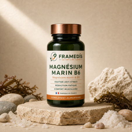 Magnésium marin B6 200 comprimés - Anti-stress | Framedis