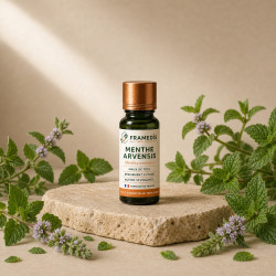 Huile Essentielle Menthe Arvensis 10 ml - Maux de tête | Framedis