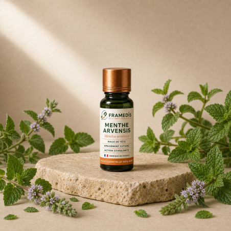 Huile Essentielle Menthe Arvensis 10 ml - Maux de tête | Framedis