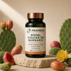 Nopal Figuier de Barbarie 200 gélules - Capteur | Framedis