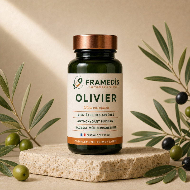 Olivier en gélules — Anti-oxydant naturel & artères | Framedis