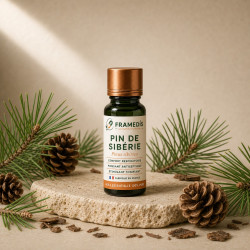 Huile Essentielle Pin de Sibérie 10 ml - Respiration | Framedis