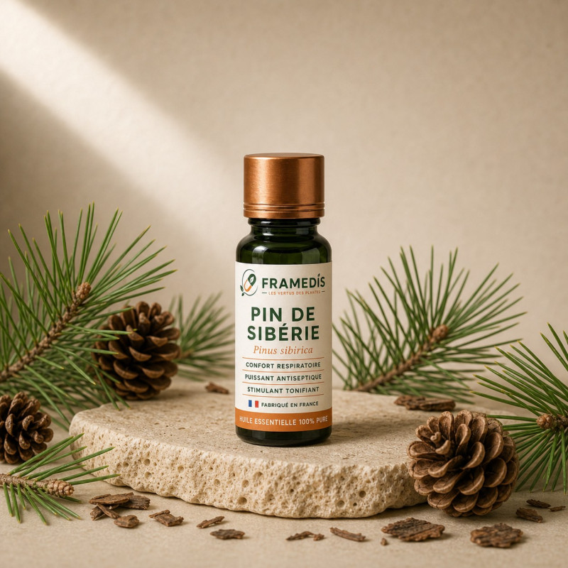 Huile Essentielle Pin de Sibérie 10 ml - Respiration | Framedis
