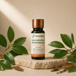 Huile Essentielle Ravintsara BIO 10 ml - Antiviral | Framedis