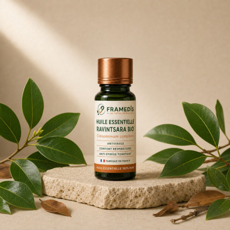Huile Essentielle Ravintsara BIO 10 ml - Antiviral | Framedis