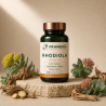 Rhodiola 200 gélules - Stress & fatigue | Framedis