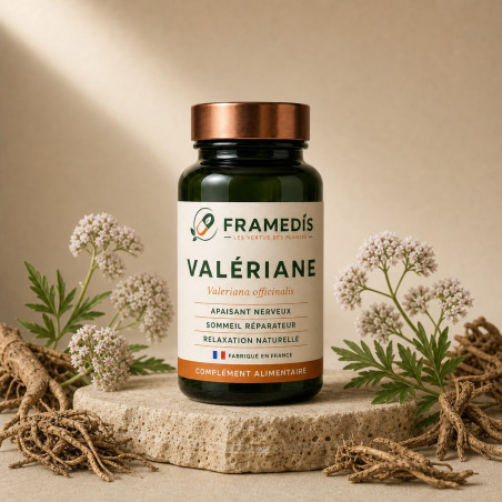 Valériane 200 gélules - Détente & sommeil | Framedis