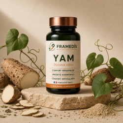 Yam en gélules — Pré-ménopause & ménopause | Framedis