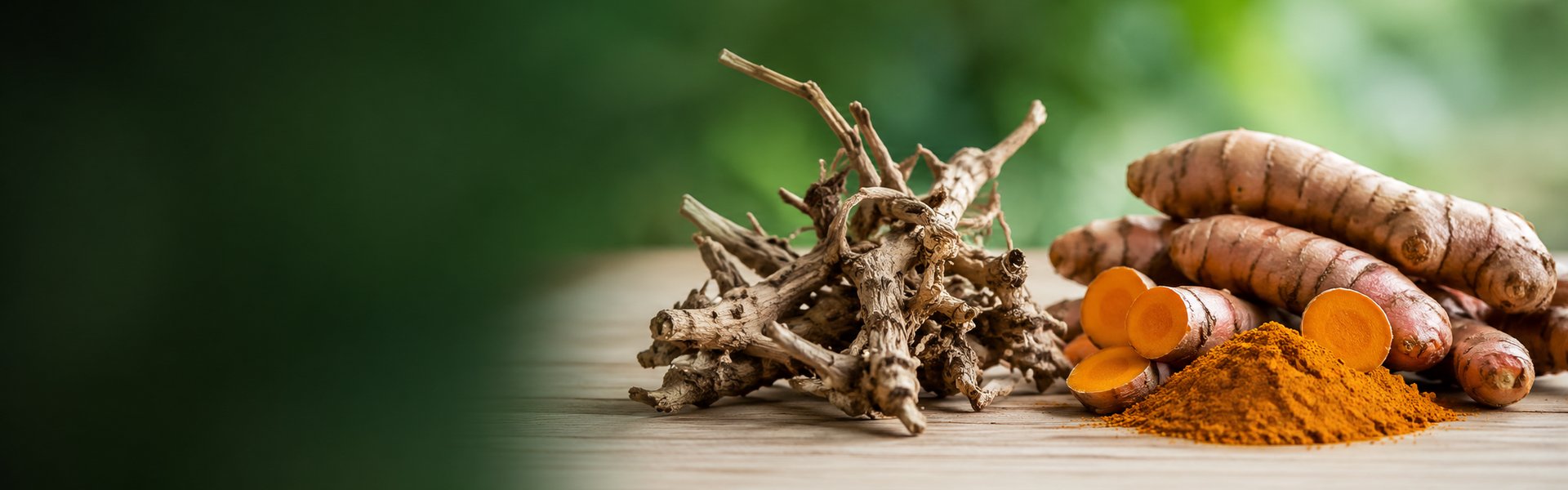 Racines d'harpagophytum et de curcuma bio côte à côte sur un plan en bois clair, lumière douce