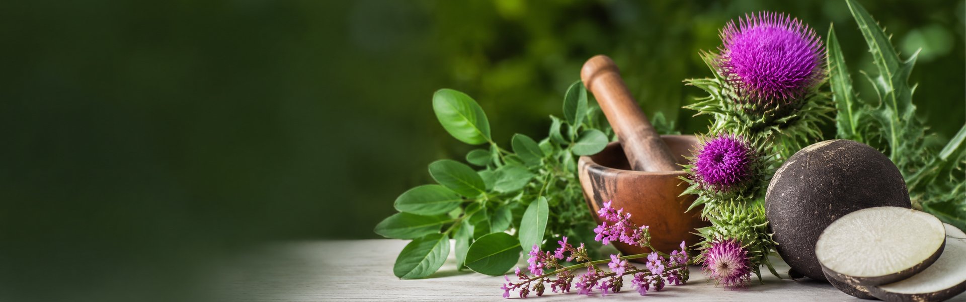 Plantes pour le foie et la détox : chardon-marie, desmodium, radis noir et fumeterre sur un plan de travail clair